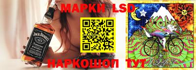 прущие грибы Нальчик