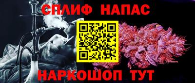 прущие грибы Нальчик