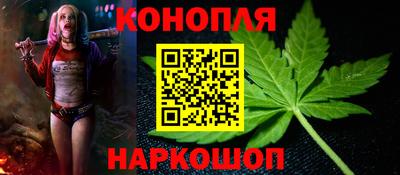 прущие грибы Нальчик