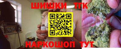 прущие грибы Нальчик