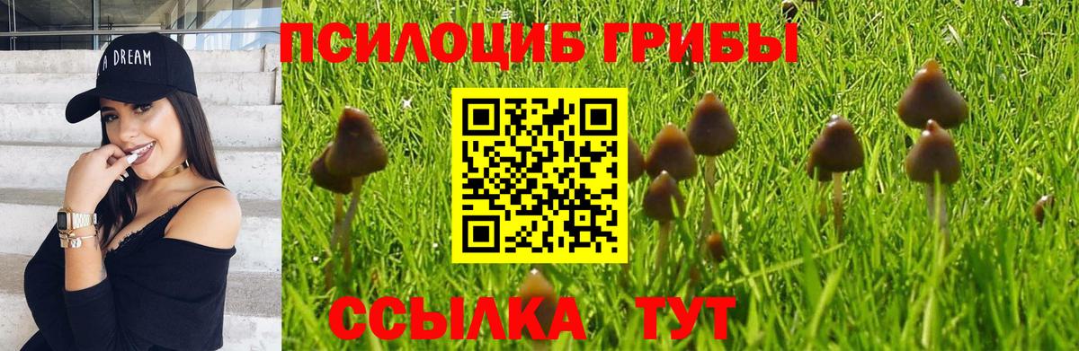 Псилоцибиновые грибы Psilocybe  Псилоцибиновые грибы Psilocybine cubensis  Вход с VPN  Волгоград 